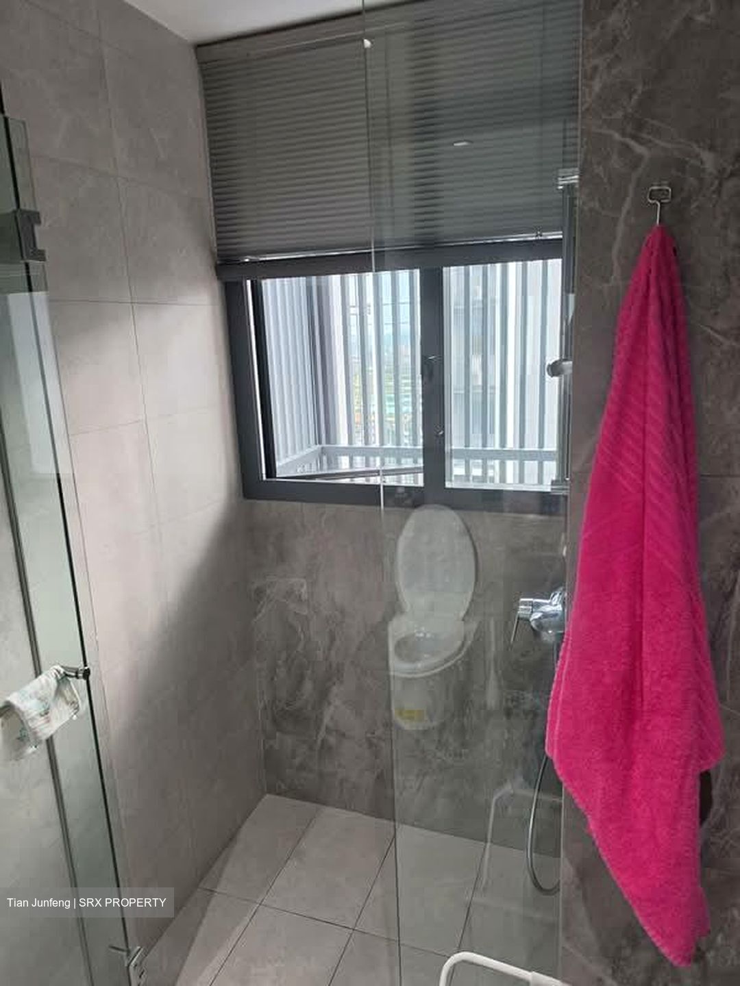 Parc Clematis (D5), Apartment #577442841